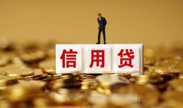 成都1哪有个人借贷-成都1小额贷款公司-成都1私借空放免费上门
