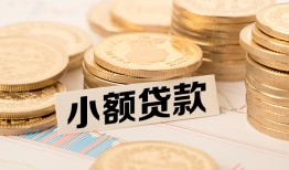 成都1身份证贷款平台-成都1私人借贷不查征信-成都1空放借钱
